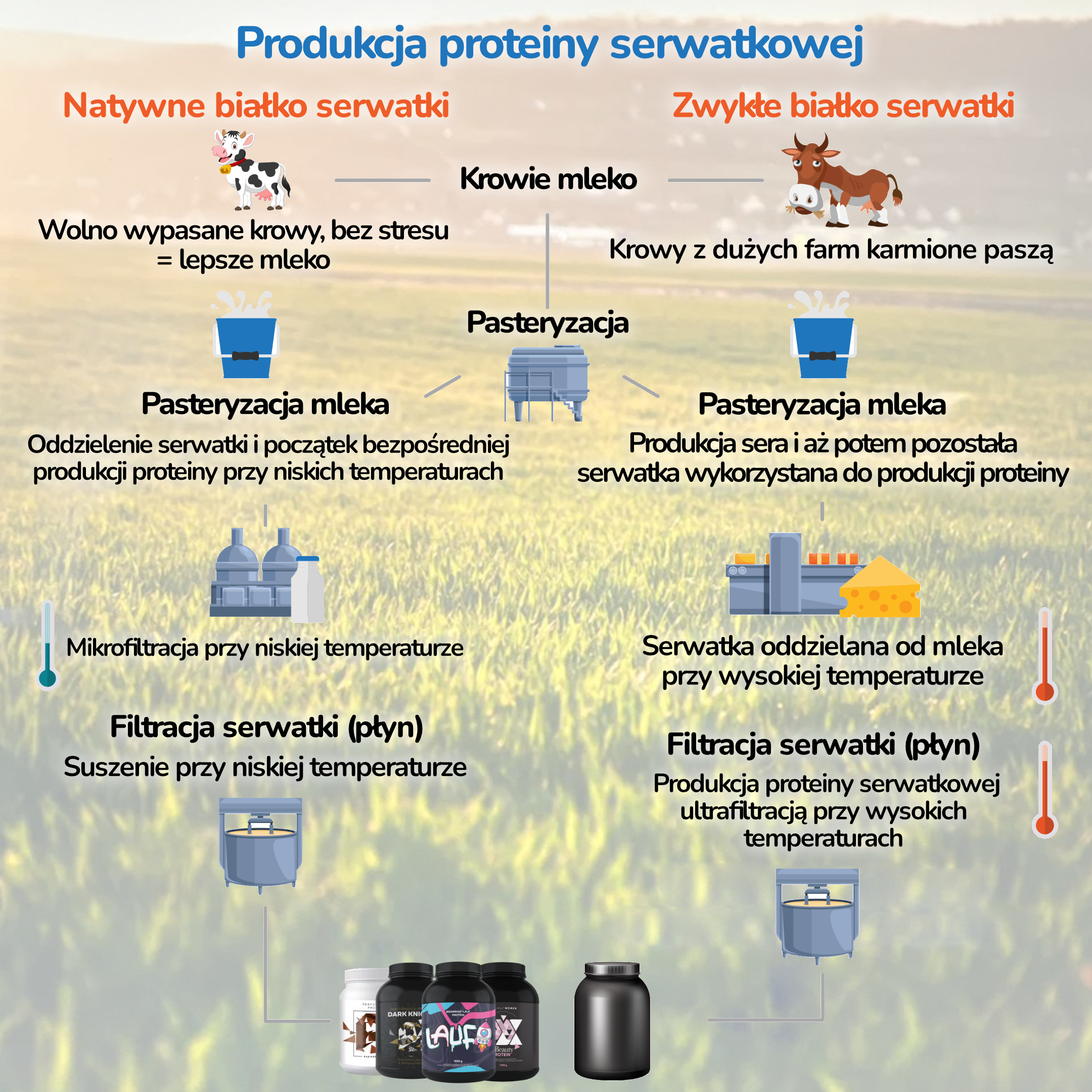 Vyroba proteinu_3a_pozadi_pl (1)